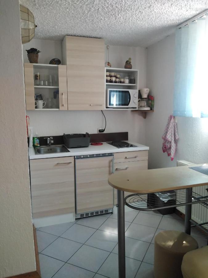 Apartments Irena كْرانْيِسكا غورا المظهر الخارجي الصورة
