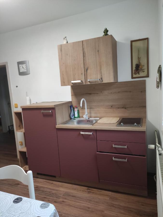 Apartments Irena كْرانْيِسكا غورا المظهر الخارجي الصورة